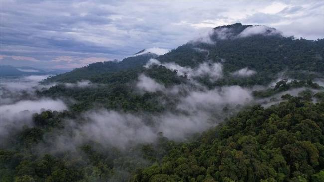 Rangkaian Pegunungan Muller yang di dalamnya terdapat Gunung Liangpran. (Foto: WWF-Indonesia)