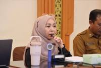 Ketua TP Posyandu Kalsel, Hj. Fathul Jannah Muhidin