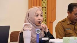 Ketua TP Posyandu Kalsel, Hj. Fathul Jannah Muhidin