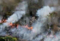 Foto Illustrasi kebakaran hutan. (Foto: Istimewa)