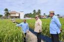 Presiden RI Prabowo Subianto (tengah) meninjau lahan padi dalam rangkaian acara Puncak Pekan Nasional Petani dan Nelayan XVII Tahun 2026 di Kabupaten Gorontalo, Rabu (24/6/2026). (Foto: BPMI Sekretariat Presiden)