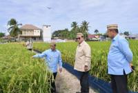 Presiden RI Prabowo Subianto (tengah) meninjau lahan padi dalam rangkaian acara Puncak Pekan Nasional Petani dan Nelayan XVII Tahun 2026 di Kabupaten Gorontalo, Rabu (24/6/2026). (Foto: BPMI Sekretariat Presiden)