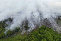 Foto Ilustrasi kebakaran hutan dan lahan (karhutla). (Foto: Dok BPBD Aceh Selatan)