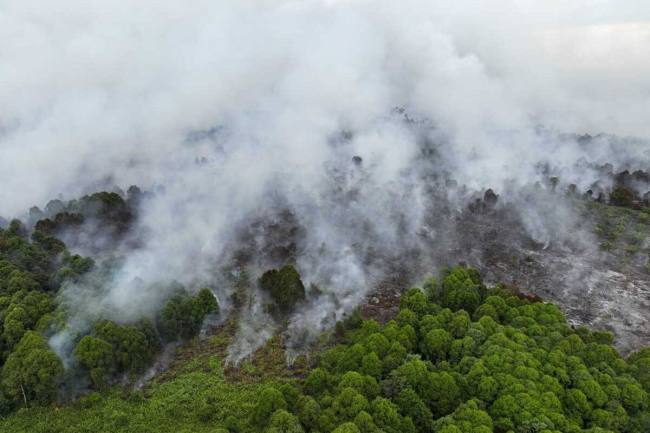 Foto Ilustrasi kebakaran hutan dan lahan (karhutla). (Foto: Dok BPBD Aceh Selatan)
