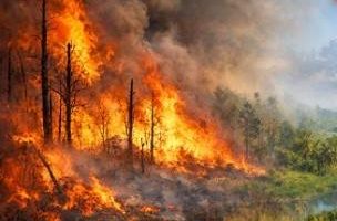 KALSEL WASPADA,Telah Muncul Ribuan Titik Panas