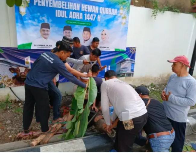 SEMBELIH KURBAN-Prosesi penyembelihan sapi kurban di halaman belakang Sekretariat DPRD Provinsi Kalsel bantuan Bank Kalsel. (Foto: DokPresromDPRDKalsel)