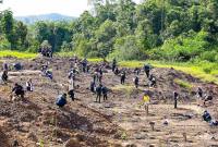 Penanaman pohon di lokasi yang sebelumnya merupakan tambang ilegal di kawasan Tahura Bukit Soeharto di Kecamatan Samboja, Kabupaten Kutai Kartanegara. (Foto: Dok Humas OIKN)