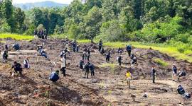 Penanaman pohon di lokasi yang sebelumnya merupakan tambang ilegal di kawasan Tahura Bukit Soeharto di Kecamatan Samboja, Kabupaten Kutai Kartanegara. (Foto: Dok Humas OIKN)