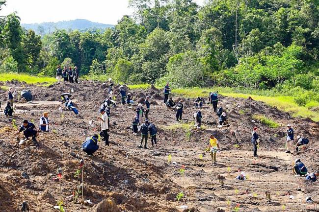 Penanaman pohon di lokasi yang sebelumnya merupakan tambang ilegal di kawasan Tahura Bukit Soeharto di Kecamatan Samboja, Kabupaten Kutai Kartanegara. (Foto: Dok Humas OIKN)