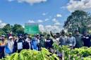 BPDLH dan Tim Norwegia bersama Dishut Kalsel saat mengevaluasi pelaksanaan rehabilitasi hutan dan lahan program FOLU Net Sink 2030 di Desa Pasar Batu, Kabupaten Tabalong, Kalimantan Selatan, Kamis (18/6/2026). (Foto: Dishut Kalsel)