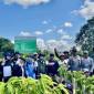 BPDLH dan Tim Norwegia bersama Dishut Kalsel saat mengevaluasi pelaksanaan rehabilitasi hutan dan lahan program FOLU Net Sink 2030 di Desa Pasar Batu, Kabupaten Tabalong, Kalimantan Selatan, Kamis (18/6/2026). (Foto: Dishut Kalsel)