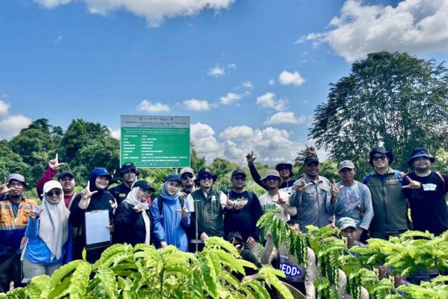 BPDLH dan Tim Norwegia bersama Dishut Kalsel saat mengevaluasi pelaksanaan rehabilitasi hutan dan lahan program FOLU Net Sink 2030 di Desa Pasar Batu, Kabupaten Tabalong, Kalimantan Selatan, Kamis (18/6/2026). (Foto: Dishut Kalsel)