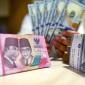 Petugas menunjukan uang pecahan dolar AS dan rupiah di Bank BSI, Jakarta, Selasa (3/9/2024). (Foto: Dok Antara)