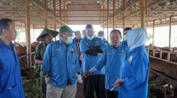 KETAHANAN PANGAN, Dewan Kalsel Dorong Penguatan Sektor Peternakan dari Hulu ke Hilir