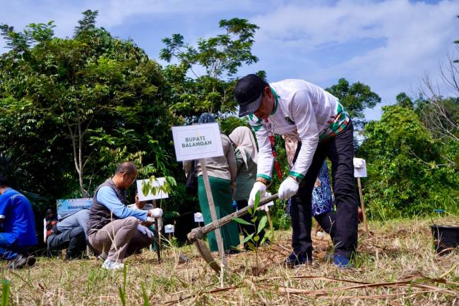 Karang Taruna Desa Balang bersama Pemerintah Desa Balang menggelar Gerakan Hijau dan Pohon untuk Bumi di kawasan Wisata Balang Bekayuh, Desa Balang, Kecamatan Paringin, Selasa (23/6/2026). Foto: Mc.Balangan