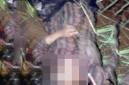 Jasad wanita di Banjar ditemukan dengan leher nyaris putus. (Foto: Istimewa)