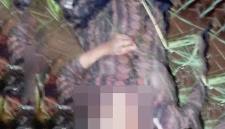Jasad wanita di Banjar ditemukan dengan leher nyaris putus. (Foto: Istimewa)