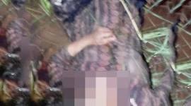 Jasad wanita di Banjar ditemukan dengan leher nyaris putus. (Foto: Istimewa)