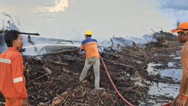 Karhutla di Kotawaringin Barat. (Foto: Dok BPBD Kobar)