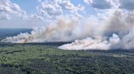 Foto udara kebakaran hutan dan lahan di perbatasan Desa Soren-Camba Kecamatan Kota Besi Kabupaten Kotawaringin Timur, Rabu (8/7/2026). (Foto: HO-BPBD Kotim)