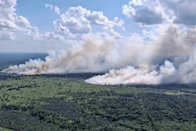Foto udara kebakaran hutan dan lahan di perbatasan Desa Soren-Camba Kecamatan Kota Besi Kabupaten Kotawaringin Timur, Rabu (8/7/2026). (Foto: HO-BPBD Kotim)