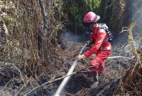 Petugas berupaya memadamkan api kebakaran hutan dan lahan (Karhutla) di Singkawang, Kalbar. (Foto: Antara/Narwati)