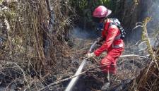 Petugas berupaya memadamkan api kebakaran hutan dan lahan (Karhutla) di Singkawang, Kalbar. (Foto: Antara/Narwati)