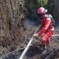 Petugas berupaya memadamkan api kebakaran hutan dan lahan (Karhutla) di Singkawang, Kalbar. (Foto: Antara/Narwati)