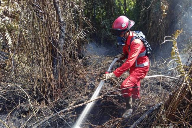 Petugas berupaya memadamkan api kebakaran hutan dan lahan (Karhutla) di Singkawang, Kalbar. (Foto: Antara/Narwati)