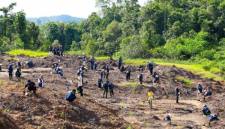 Salah satu kegiatan tanam pohon yang dilaksanakan Otorita IKN di kawasan ibu kota Indonesia di sebagian Kabupaten Penajam Paser Utara dan Kabupaten Kutai Kartanegara, Provinsi Kalimantan Timur. (Foto: HO-Humas OIKN)