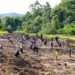 Salah satu kegiatan tanam pohon yang dilaksanakan Otorita IKN di kawasan ibu kota Indonesia di sebagian Kabupaten Penajam Paser Utara dan Kabupaten Kutai Kartanegara, Provinsi Kalimantan Timur. (Foto: HO-Humas OIKN)