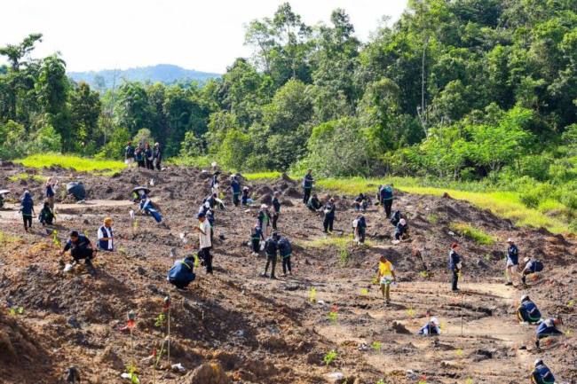 Salah satu kegiatan tanam pohon yang dilaksanakan Otorita IKN di kawasan ibu kota Indonesia di sebagian Kabupaten Penajam Paser Utara dan Kabupaten Kutai Kartanegara, Provinsi Kalimantan Timur. (Foto: HO-Humas OIKN)