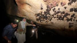 Jajaran Pemprov Kalsel mengunjungi situs prasejarah Gua Liang Bangkai bagian dari kawasan Geopark Meratus di Dukuh Rejo, Kabupaten Tanah Bumbu, Kalimantan Selatan. (Foto: HO-Pemprov Kalsel)