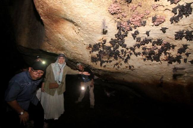 Jajaran Pemprov Kalsel mengunjungi situs prasejarah Gua Liang Bangkai bagian dari kawasan Geopark Meratus di Dukuh Rejo, Kabupaten Tanah Bumbu, Kalimantan Selatan. (Foto: HO-Pemprov Kalsel)