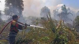 Karhutla di Kotawaringin Barat, Kamis (9/7/2026). (Foto: HO-BPBD Kobar)