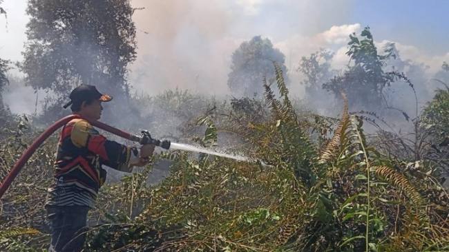 Karhutla di Kotawaringin Barat, Kamis (9/7/2026). (Foto: HO-BPBD Kobar)