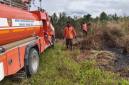 Karhutla di Kotawaringin Barat, Minggu (12/7/2026). (Foto: BPBD Kobar)