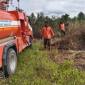 Karhutla di Kotawaringin Barat, Minggu (12/7/2026). (Foto: BPBD Kobar)
