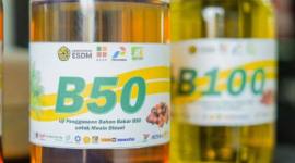 Foto Ilustrasi - Sampel uji produk bahan bakar nabati berbasis kelapa sawit 50 persen atau B50. (Foto: HO-BPDP)