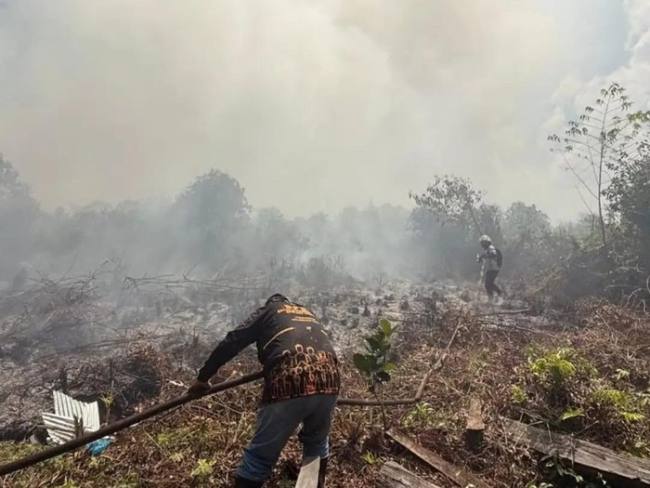 Petugas BPBD Kotawaringin Timur berjuang memadamkan api karhutla. (Foto: BPBD Kotim)