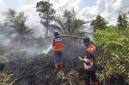 Petugas melakukan pemadaman karhutla di Tumbang Nusa, Kalimantan Tengah. (BPBD Pulang Pisau)