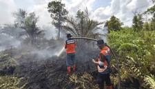Petugas melakukan pemadaman karhutla di Tumbang Nusa, Kalimantan Tengah. (BPBD Pulang Pisau)