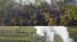 Titik api Karhutla bermunculan di Kotim. (Foto: Istimewa)