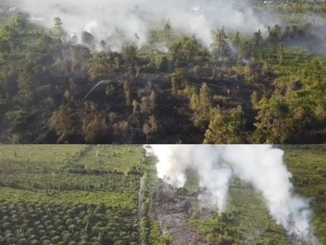 Titik api Karhutla bermunculan di Kotim. (Foto: Istimewa)