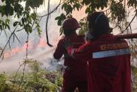 Petugas Brigdal Karhutla Dishut Kaltara bekerja sama dengan berbagai instansi terkait lainnya memadamkan karhutla di wilayah Kaltara. (Foto: HO-Dishut Kaltara)
