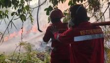 Petugas Brigdal Karhutla Dishut Kaltara bekerja sama dengan berbagai instansi terkait lainnya memadamkan karhutla di wilayah Kaltara. (Foto: HO-Dishut Kaltara)

