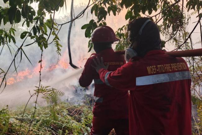 Petugas Brigdal Karhutla Dishut Kaltara bekerja sama dengan berbagai instansi terkait lainnya memadamkan karhutla di wilayah Kaltara. (Foto: HO-Dishut Kaltara)

