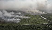 Foto udara memperlihatkan asap membumbung tinggi dari kebakaran hutan dan lahan di Desa Tumbang Nusa, Kabupaten Pulang Pisau, Kalimantan Tengah, Selasa (4/8/2026). (Foto: Antara/Auliya Rahman)