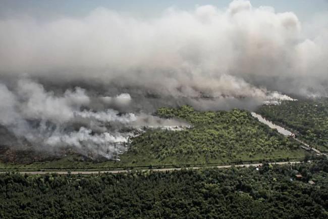 Foto udara memperlihatkan asap membumbung tinggi dari kebakaran hutan dan lahan di Desa Tumbang Nusa, Kabupaten Pulang Pisau, Kalimantan Tengah, Selasa (4/8/2026). (Foto: Antara/Auliya Rahman)
