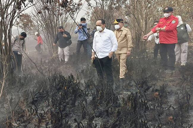 Menhut Raja Juli Antoni didampingi Gubernur Kalteng Agustiar Sabran dan lainnya memantau penanganan karhutla di kawasan Petuk Katimpun, Kota Palangka Raya, Rabu (19/8/2026). (Foto: Antara/M Arif Hidayat)
